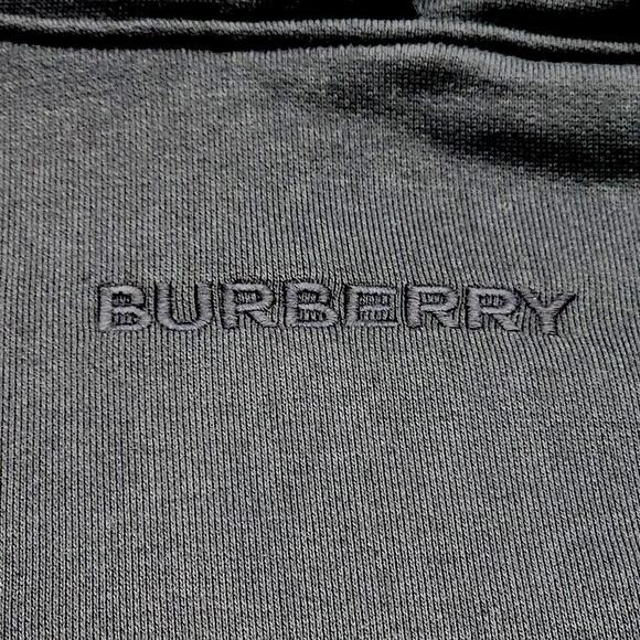 Burberry Hove Check Logo Hoodie Size XL NWT - Picture 13 of 16